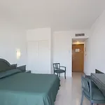 Tent Bahia De Palma מלון